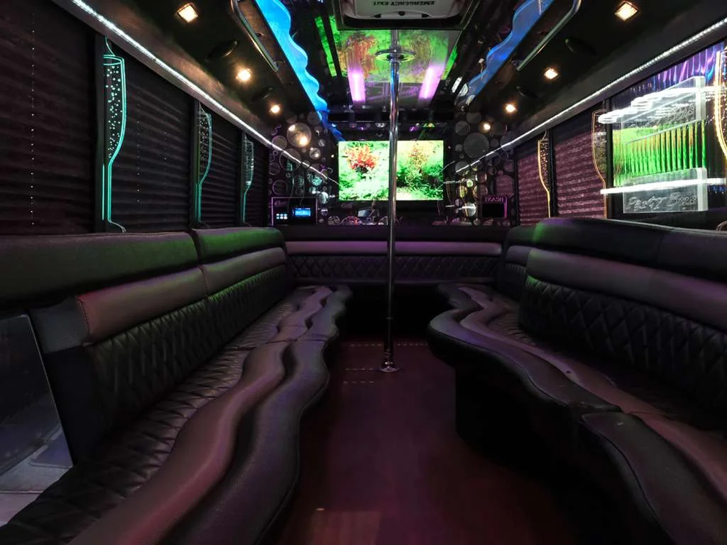 The Deluxe Party Bus gallery image 2