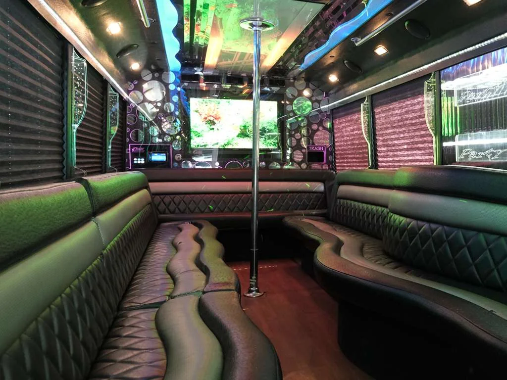 The Deluxe Party Bus gallery image 4