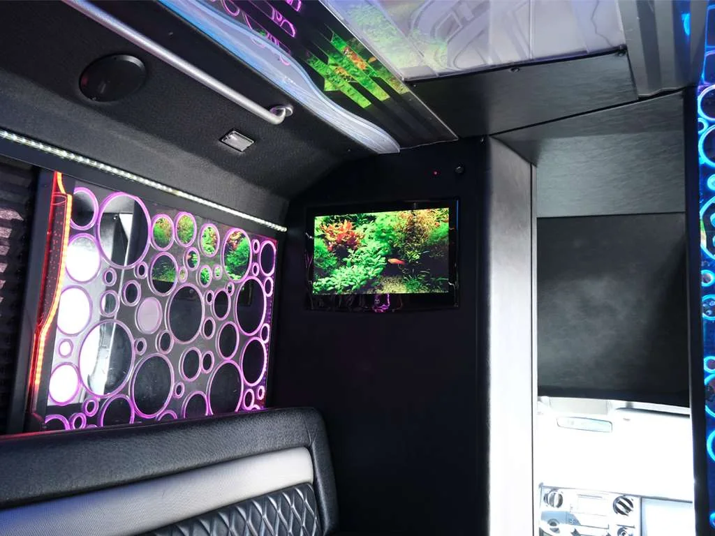 The Deluxe Party Bus gallery image 5