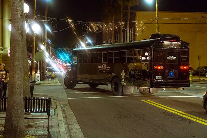 The Mirror Bus gallery image 1
