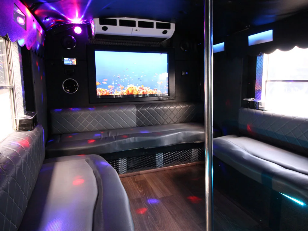 The Mirror Bus gallery image 3
